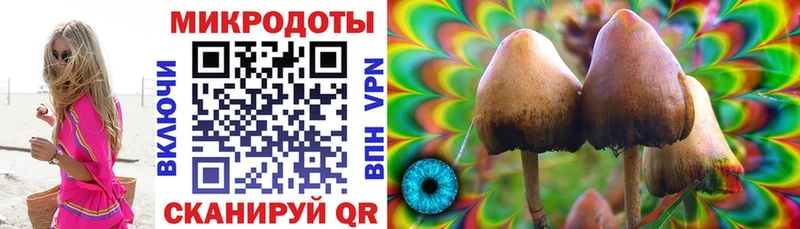 Псилоцибиновые грибы Cubensis  Карталы 